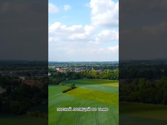 Стихотворение "Мысль летящая в даль"