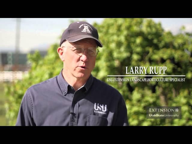 USU Extension Water Impacts