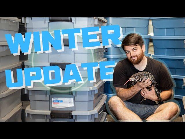 How We Brumate Our Tegus - Reptile Farm Winter Update