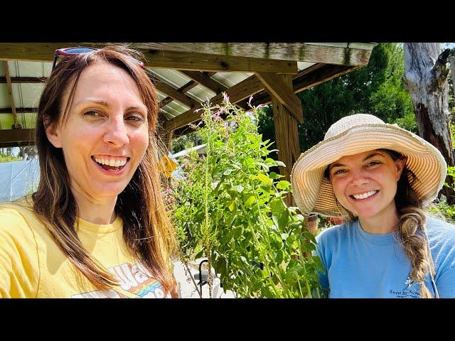 Fun Times! Shopping for Native Wildflowers at Sweet Bay Nursery