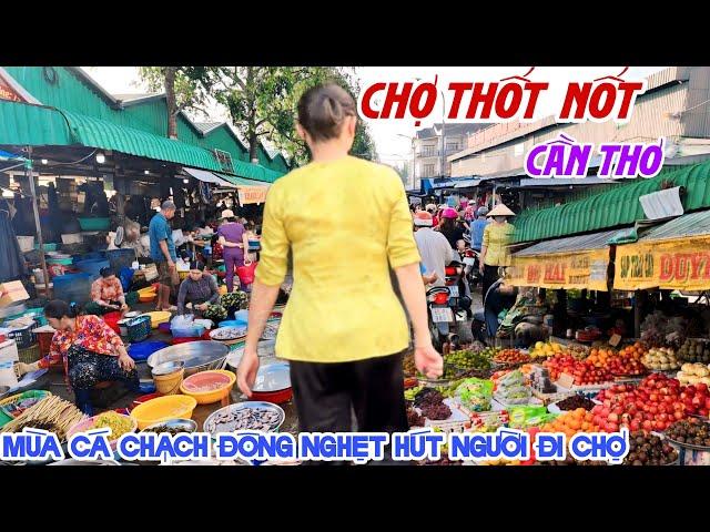 Mùa Cá Chạch TRÀN LAN CHỢ THỐT NỐT CẦN THƠ - Nước Nổi Lên ĐÔNG NGHẸT HÚT NGƯỜI ĐI CHỢ | KPVL