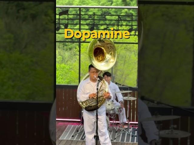 Dopamine  #music #brass #band #브라스 #브라스밴드 #sousaphone #wing #dopamine
