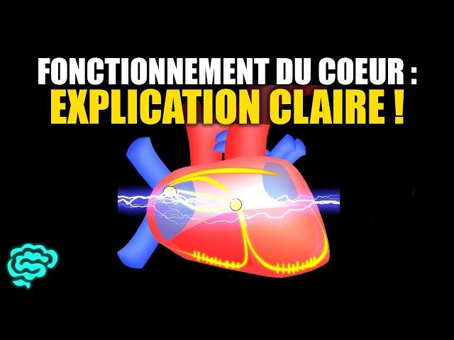  La Physiologie Cardiaque Expliquée Très Clairement par Dr Astuce