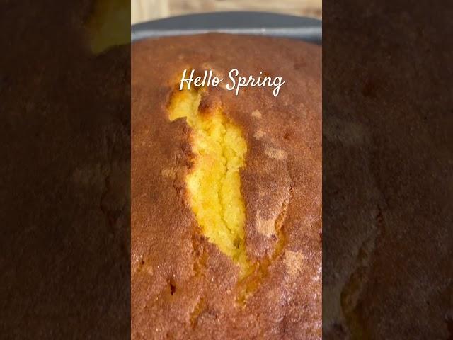 Hello Spring  #hellospring #springtime