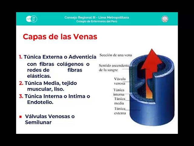 Cuidado percutáneo - carmen simpe 1