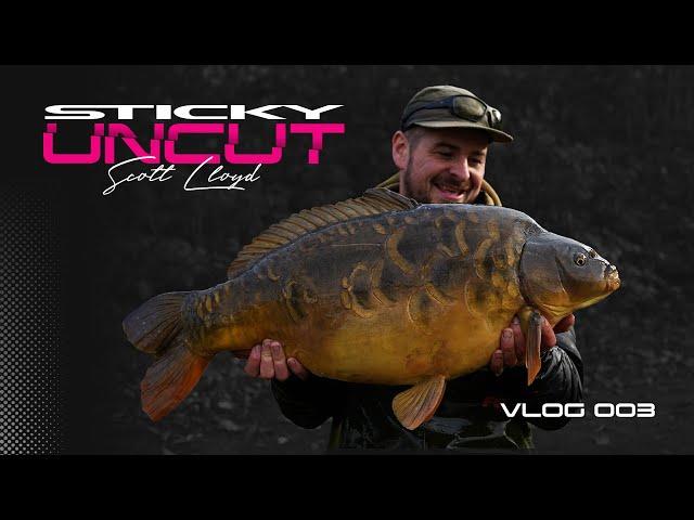 Scott Lloyd | Vlog - 003 | Sticky Uncut | Carp Fishing