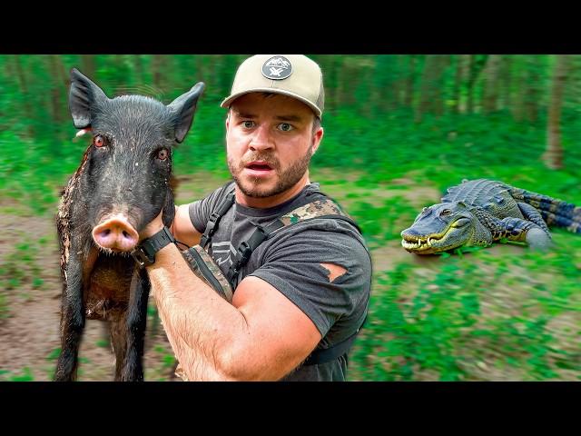 3 Days Truck Stealth Camping and Hunting Feral Hogs in Florida