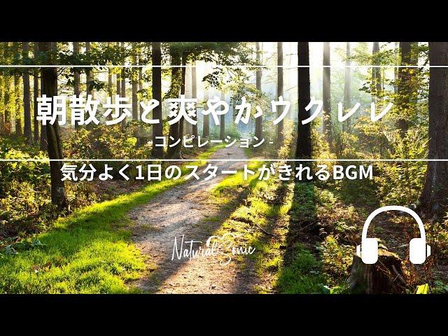 Natural Sonic 「朝散歩と爽やかウクレレ」コンピレーション - 気分よく1日のスタートがきれるBGM -