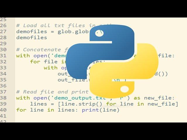 Python live streaming 10 hours part 148