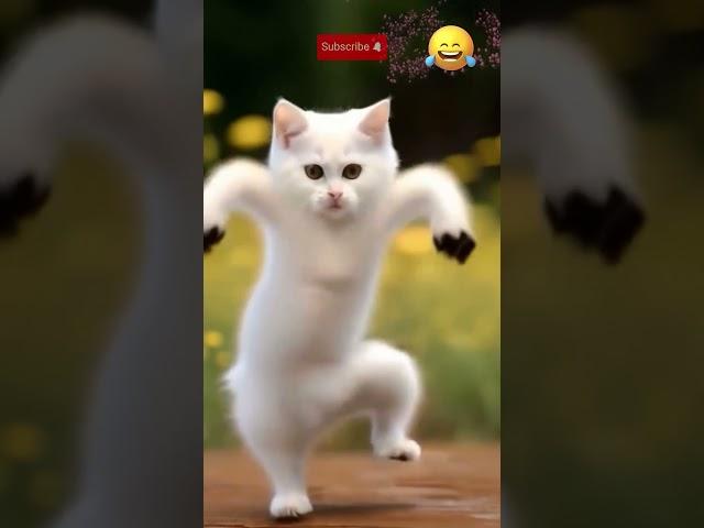 Try not to laugh baby cat most funny dance  #aicat #dancingcat #shorts