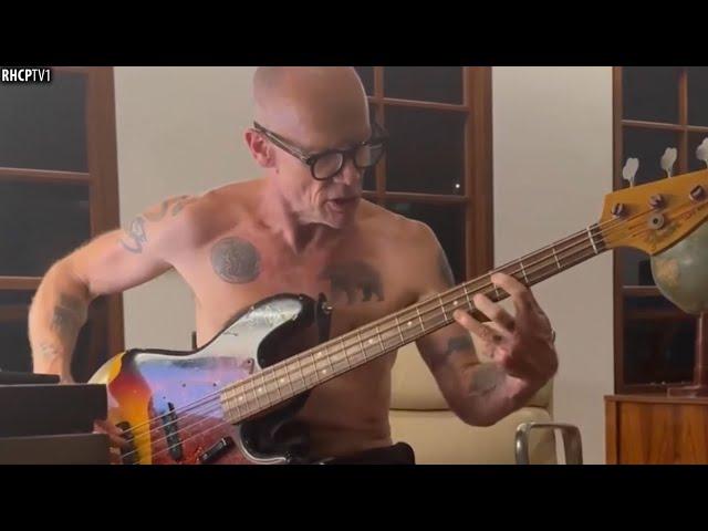 Flea Playing Jaco Pastorius! Incredible!!!