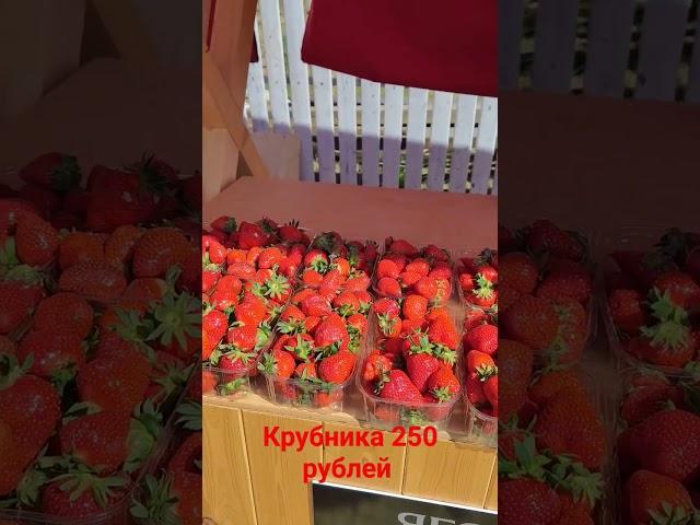 в Анапе уже клубника есть и по 300 рублей за килограмм #анапа #море #отдых #сукко #большойутриш