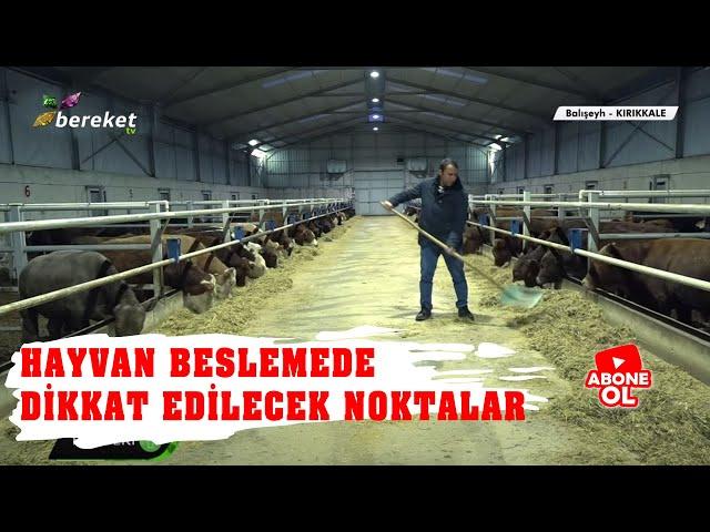 Hayvancılık Rehberi - Besiciliğin Püf Noktaları / 2.Bölüm