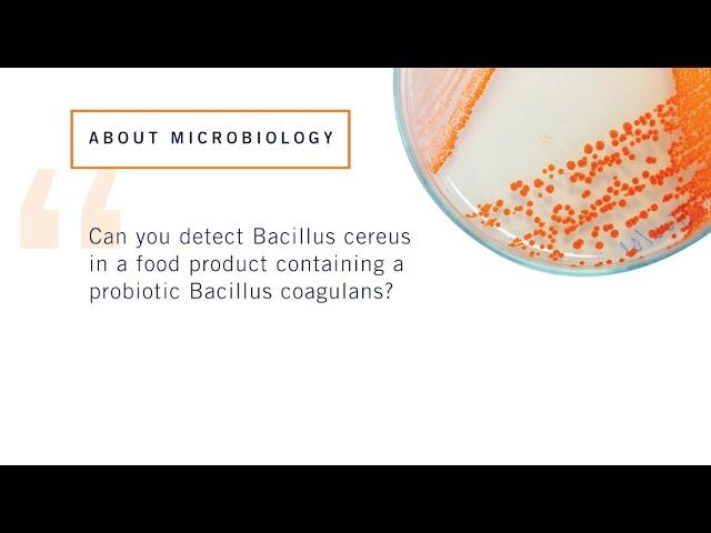 Megan Brown - "Can you detect Bacillus cereus in a food product containing probiotic B. coagulans?"