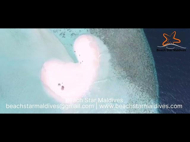 Beach Star Maldives  местный остров гостевой дом мальдивы мальдивы бюджетные путешествия