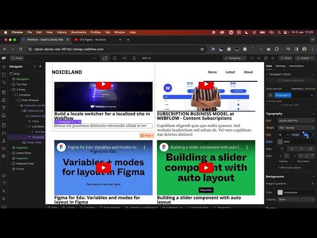 Webflow CMS Collections 2024