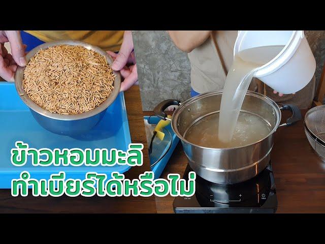 ตอบคำถาม ทำเบียร์จากข้าวหอมมะลิได้หรือไม่