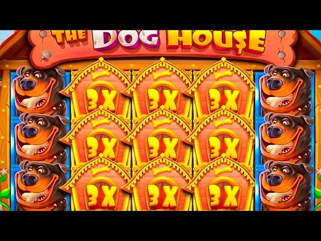 СЛОВИЛ БОНУСКУ ПО 12800 И 64000 В DOG HOUSE / ДОГ ХАУС