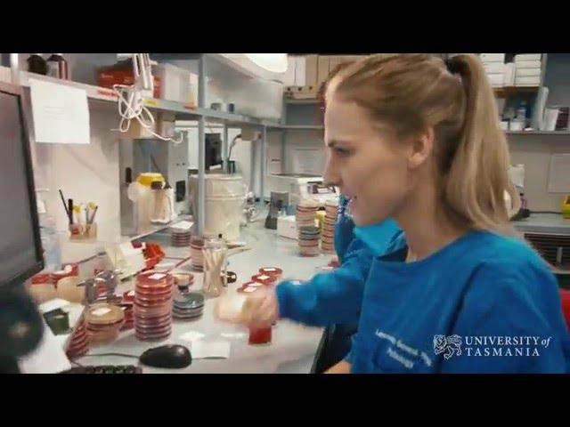 What does a microbiologist do? | University of Tasmania