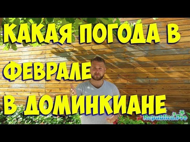 Какая погода в Доминикане в Феврале? (доминикана. доминикана2017. доминикана цены. доминикана видео)