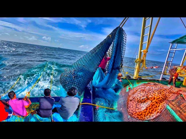 Amazing Day-4 Fishing | We Caught Tons Of Variety Fishes & Electric Rays | Deep Sea Fishing |DAY-4|