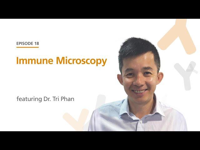 Immune Microscopy featuring Dr. Tri Phan | The Immunology Podcast
