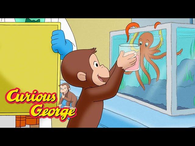 Curious George  George visits a marine rehabilitation lab    Kids Cartoon  Kids Movies