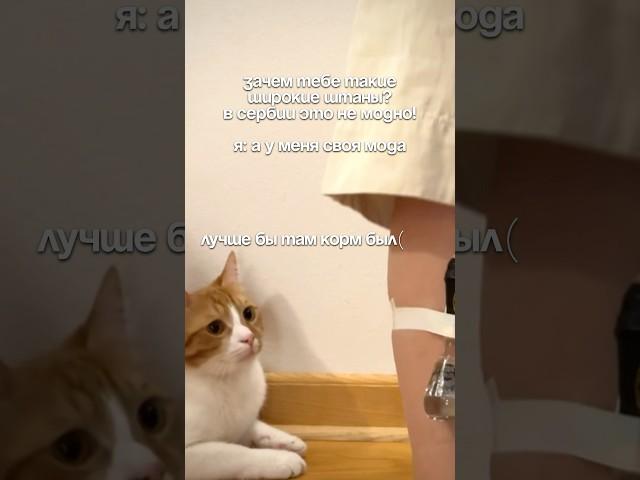 артикулы на пиво и ракию в лс #Эмигрант #ЖизньЗаГраницей#юмор #ЖизньВНовойСтране#Эмигранты #стиль