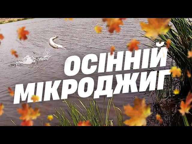 Осінній мікроджиг