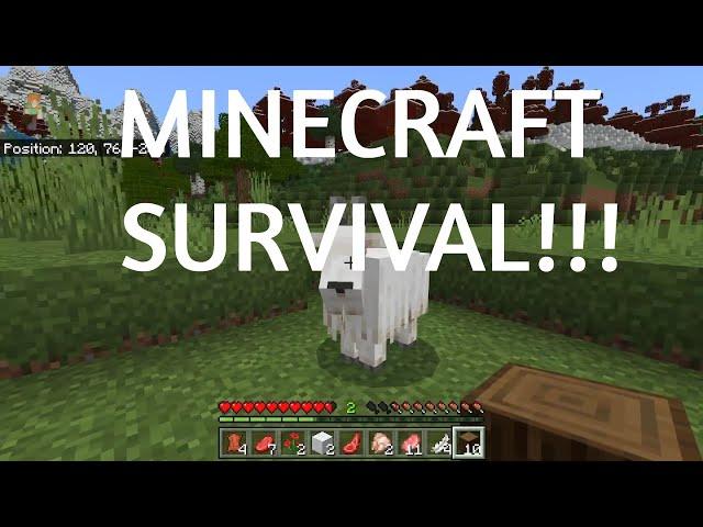 || Minecraft Survival (Easy Mode) ||