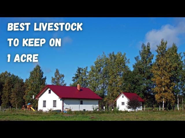 Best Livestock to Keep on 1 Acre