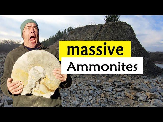 More ammonite fossil hunting at lake Texoma