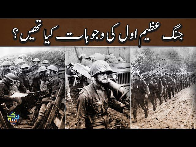 Complete History of the World War 1 | Explained in Hindi/Urdu | Nuktaa