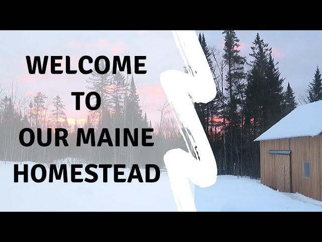 Welcome to Our Maine Homestead!