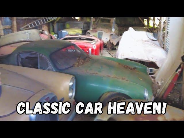 We Find RARE Cars HIDDEN in an Abandoned Barn! Unbelievable Explore