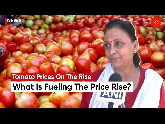 Tomato Price Hike: Tomato At Rs 100/kg, What Is Fueling The Price Rise And What Did Consumers Say?