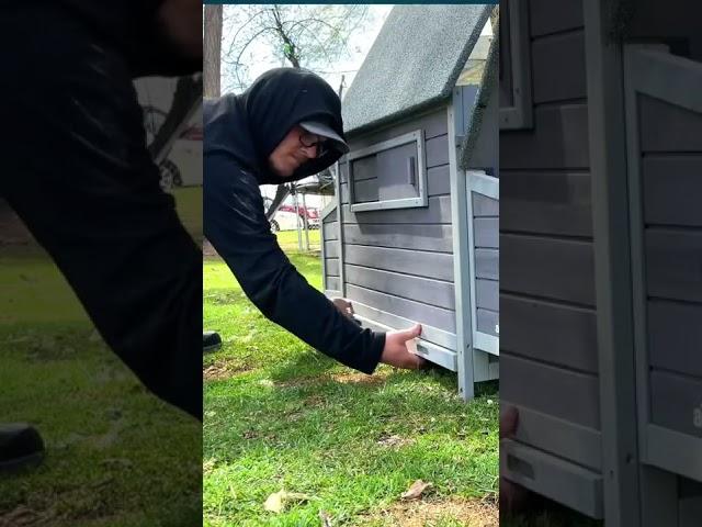 Amazing Chicken Coop For Beginners! Aivituvin AIR45