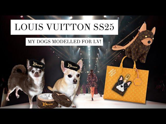  LOUIS VUITTON DOG COLLECTION - MENS SS25 REVIEW