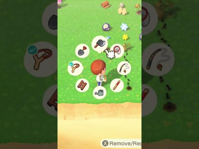 Just remembered how to catch an ant