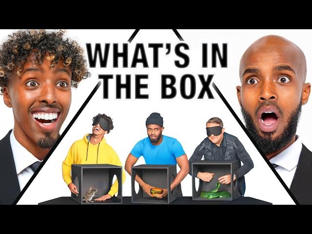 GUESS WHATS IN THE BOX CHALLENGE