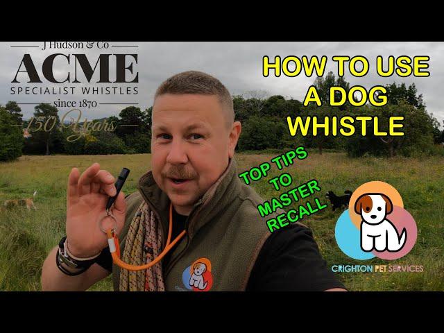 How to use a DOG WHISTLE | Improve your dogs RECALL | @acmewhistles1817 | #dogs #dogtraining | 4K