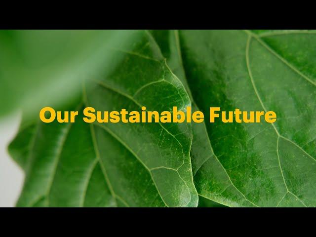 Our Sustainable Future