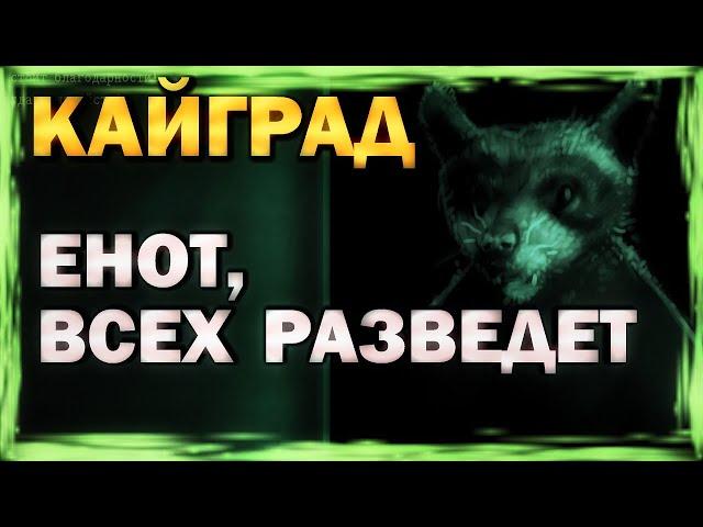 КАЙГРАД - Енот, всех разведет #3 (обзор, геймплей, сюжет, прохождение)