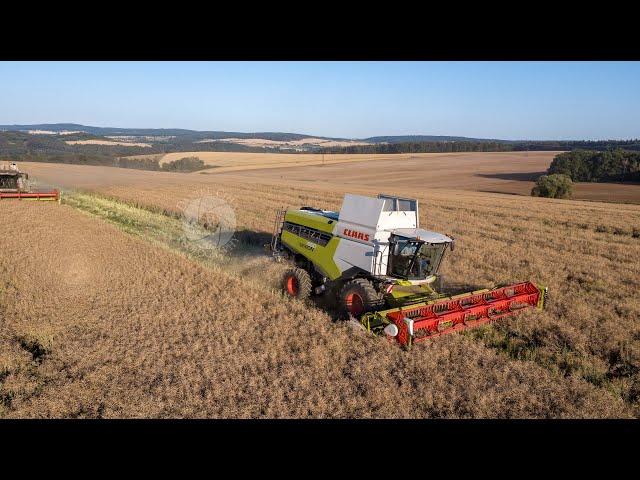 NEW Claas Lexion 6600 (650) & Vario 770 !! Colza/Oil Seed rape harvest 2019 !!  