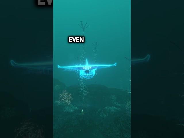 The Terrifying Truth Behind The Ghost Leviathans