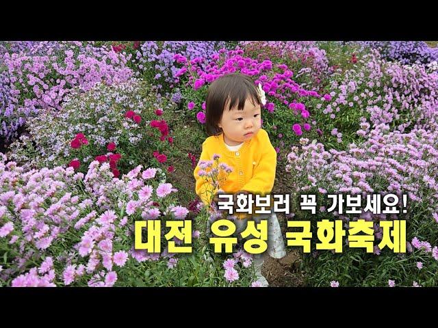 2024 대전 유성 국화축제 ㅣ꽃구경하러 가보세요 #대전유성국화축제 #꽃구경 #가족브이로그 #삼남매육아