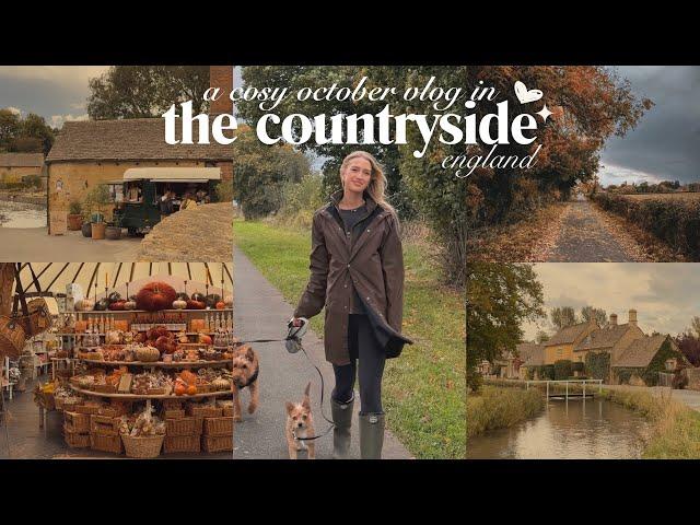 a cosy october vlog: autumn in the english countryside ️