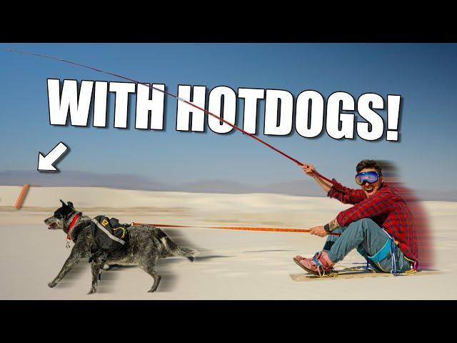 We Went Dog Sled Racing In The Desert!