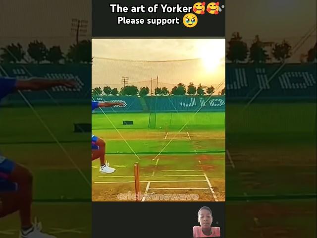 #the art of Yorker#bumrah Yorker#cricket #ipl #short
