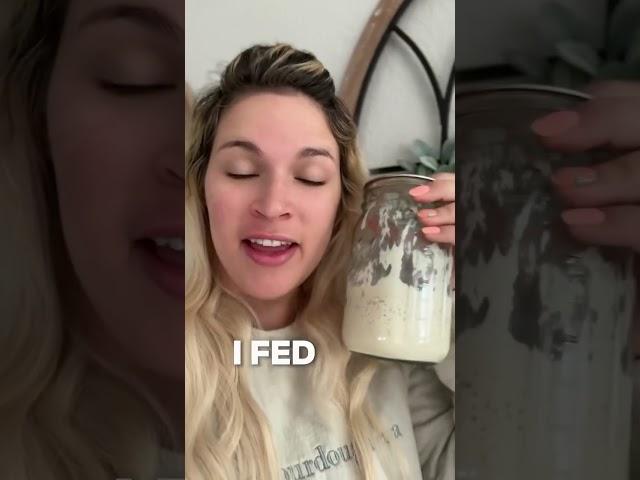 What happened when I did a 1:100:100 sourdough starter feeding ratio